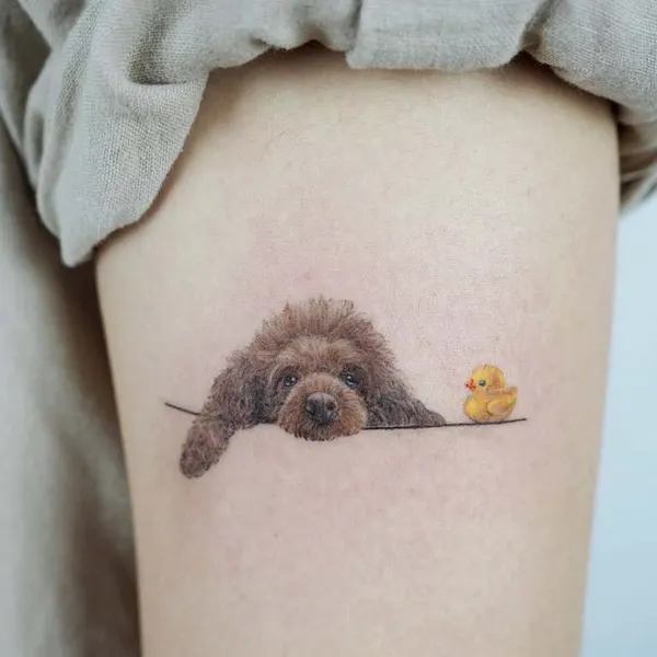 Animal
