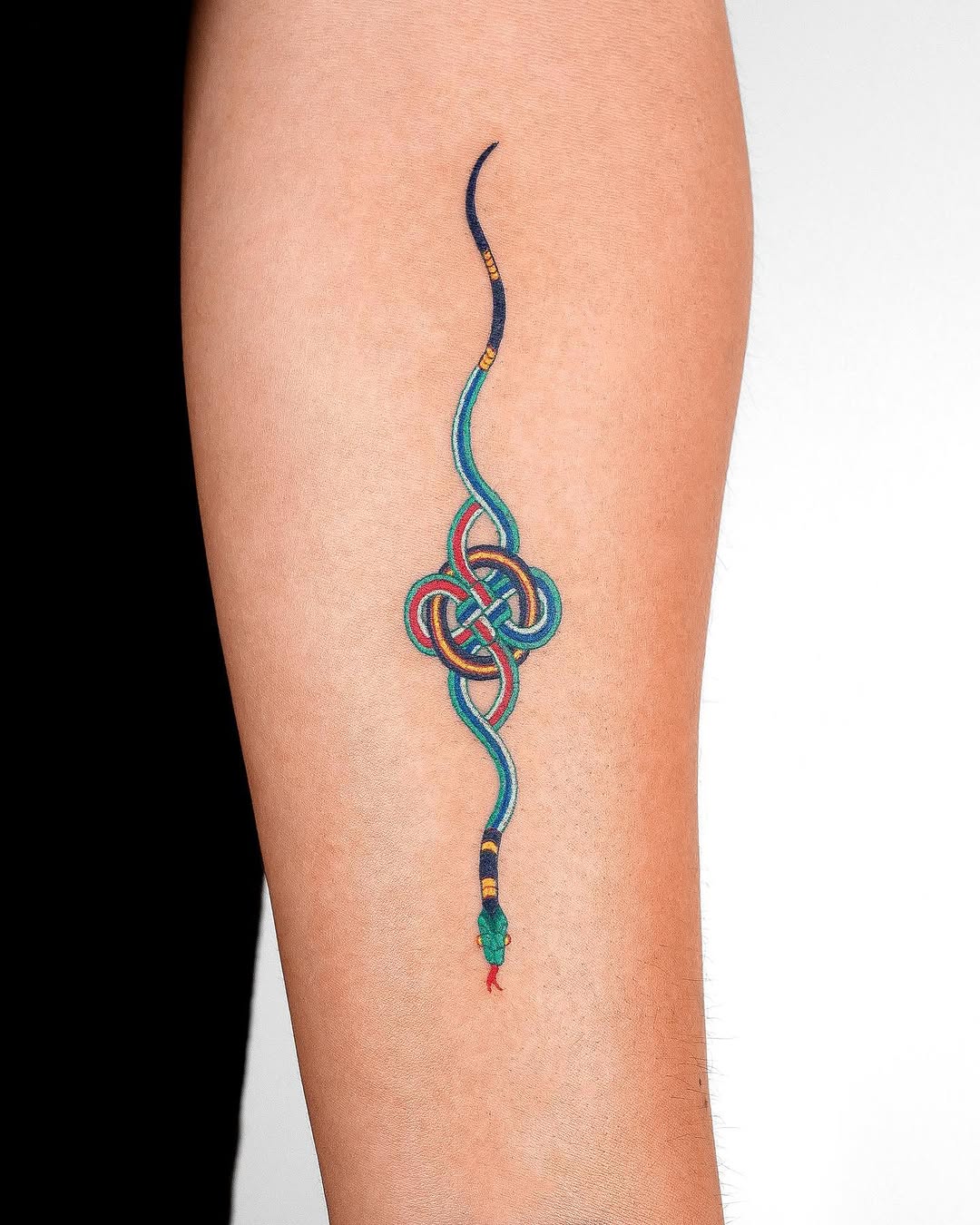 nobodytattoo