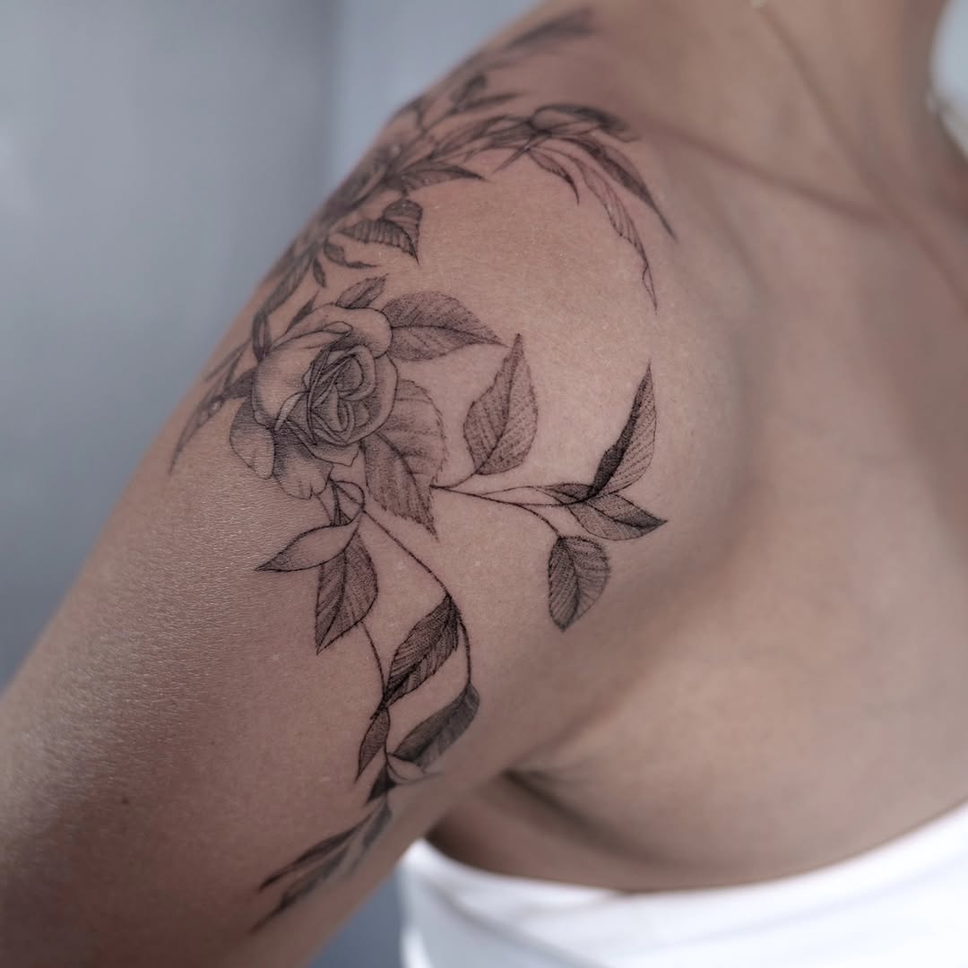 Flower, Rose, Nature