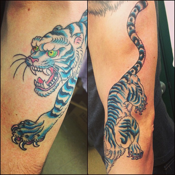 Tiger