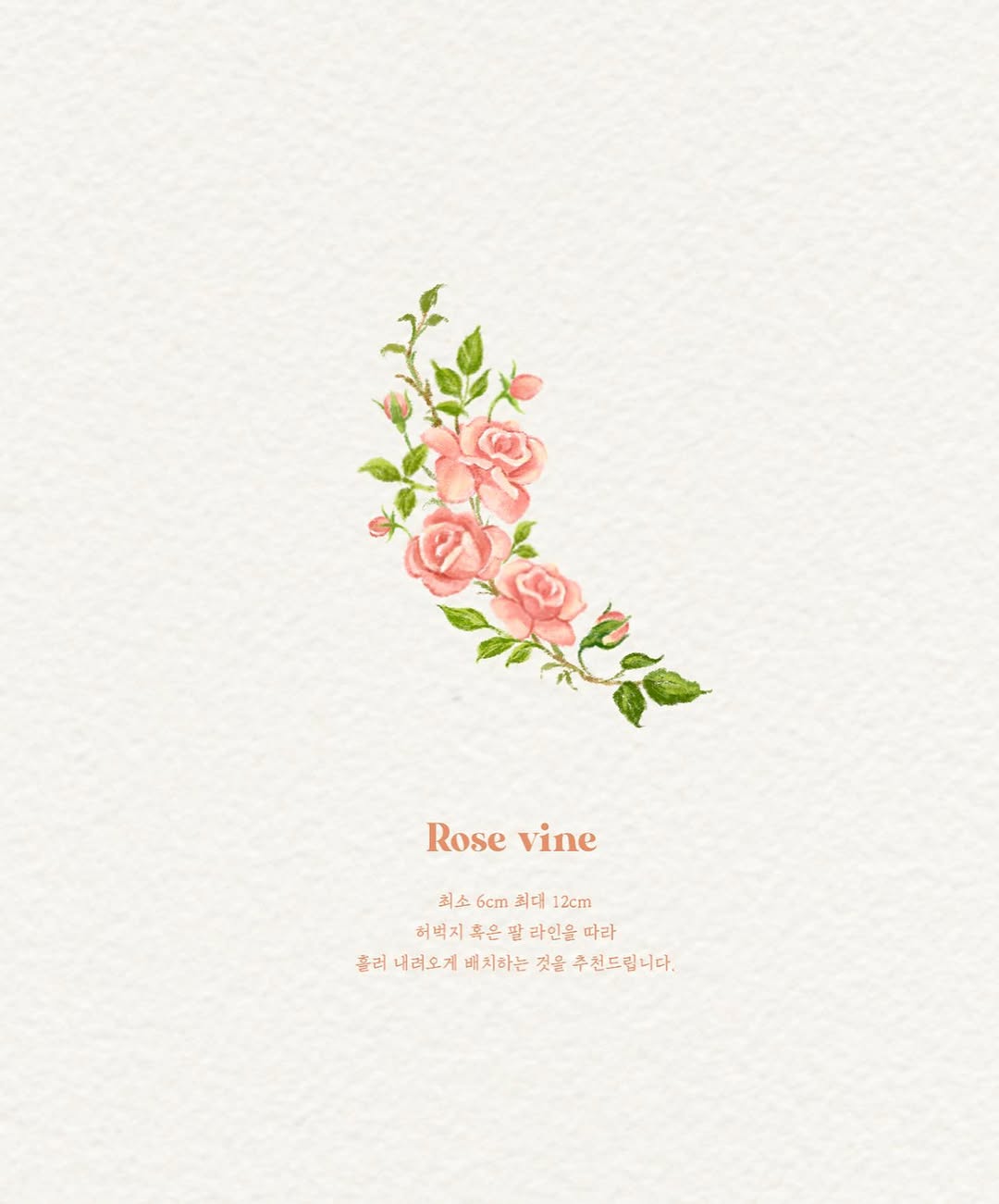 Flower, Nature, Rose