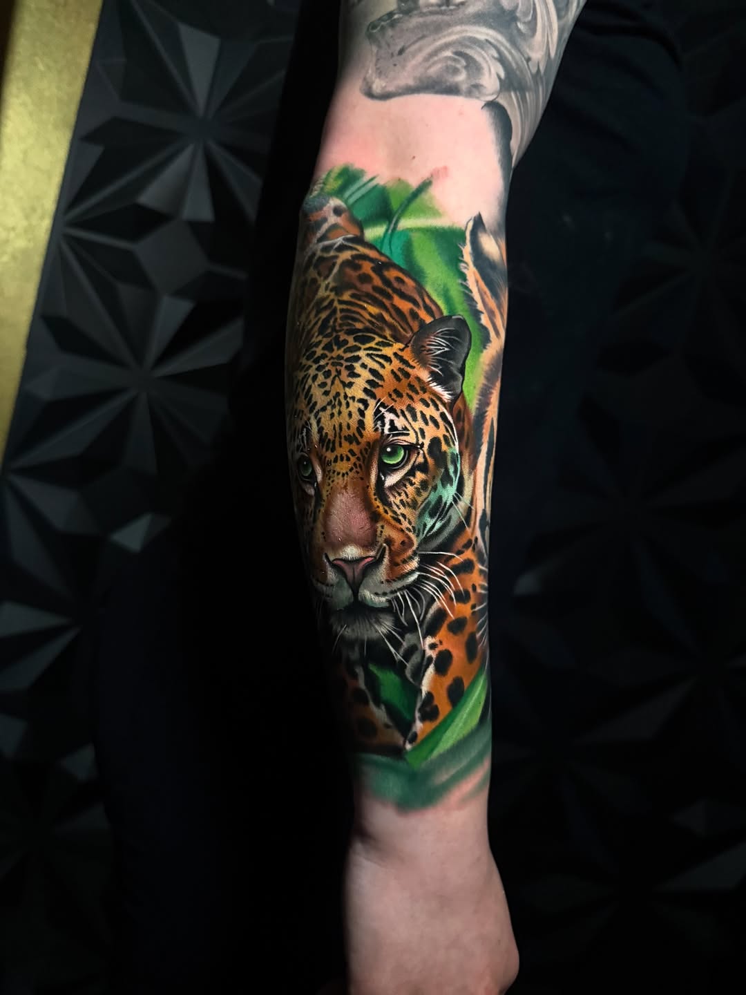 Animal, 치타, 표범, 재규어