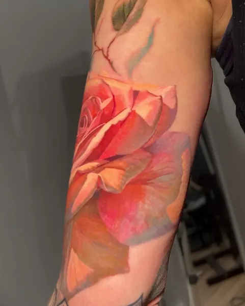Flower, Rose