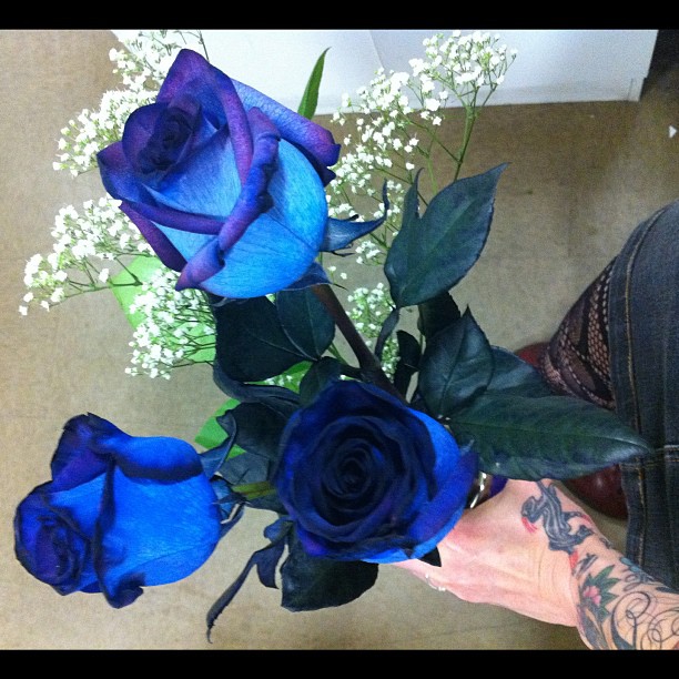 Flower, Rose