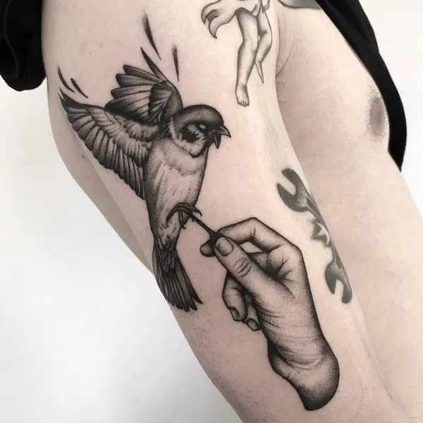 Animal