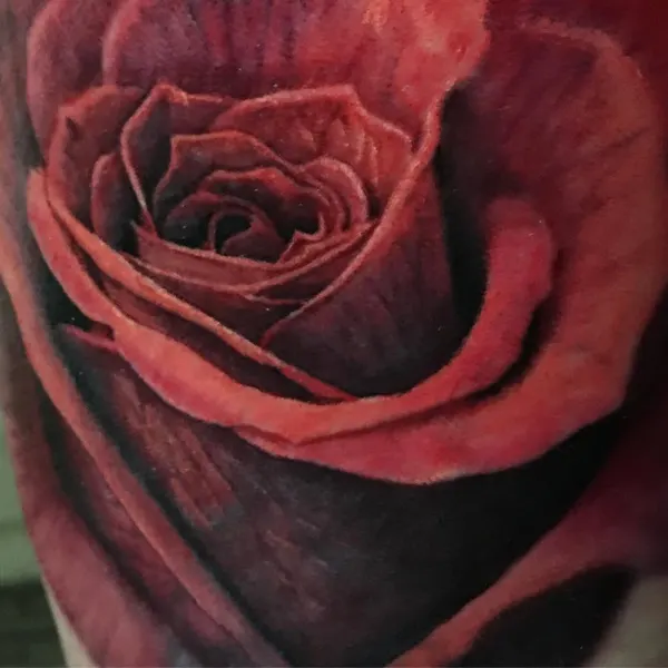 Flower, Rose