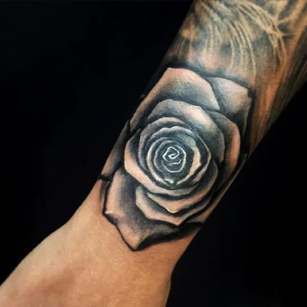 Flower, Rose