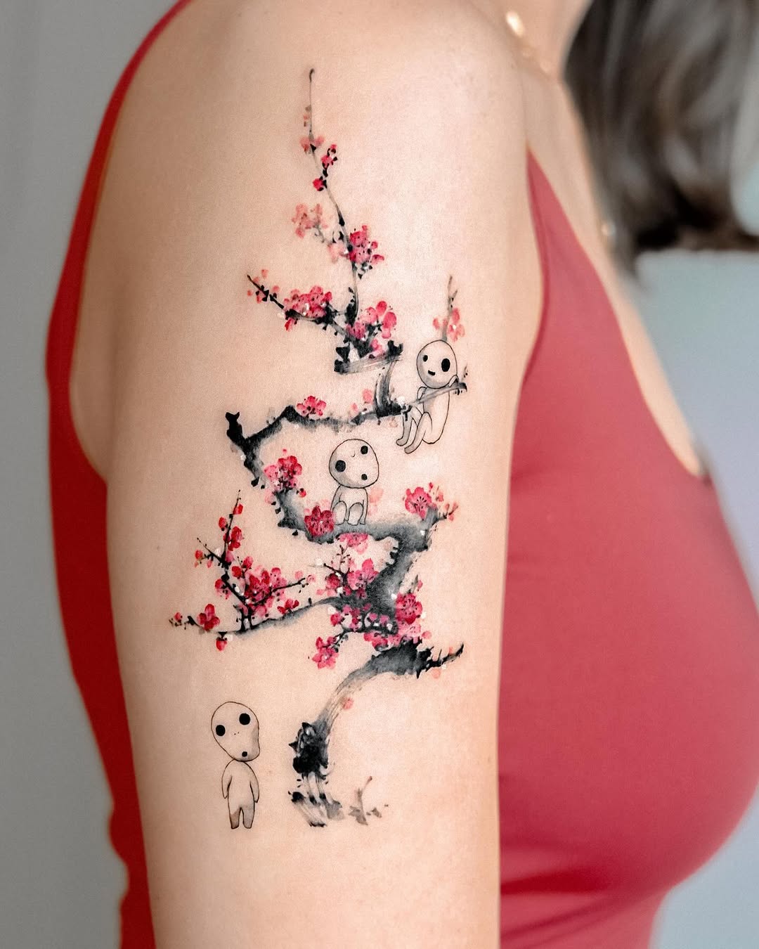 Nature, 일본 단풍, 벚꽃