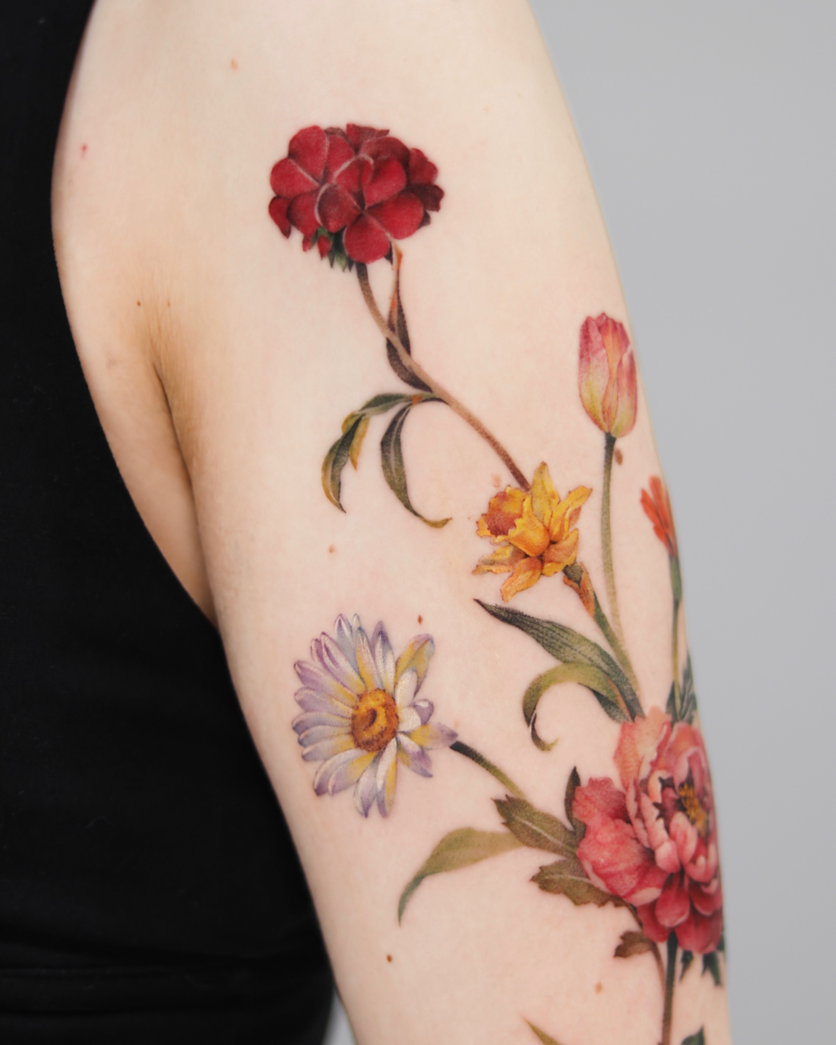 Flower, Rose, Nature