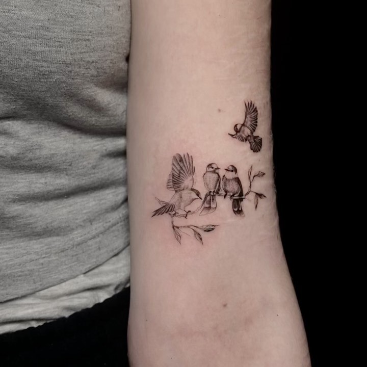 olivia.tats