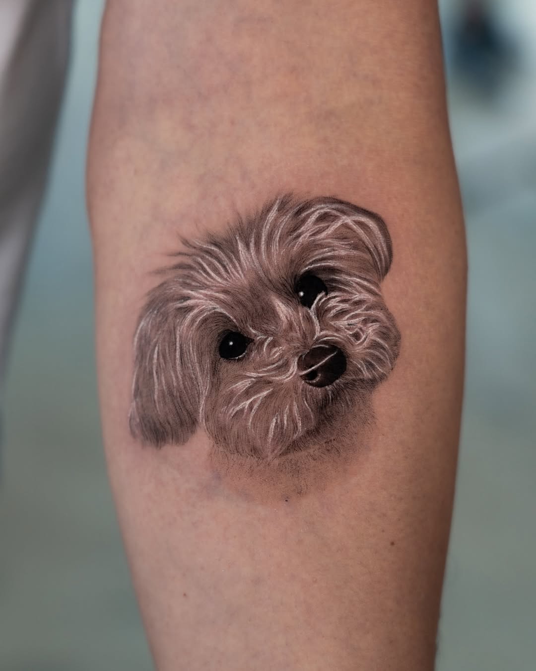 lewis.tattoo