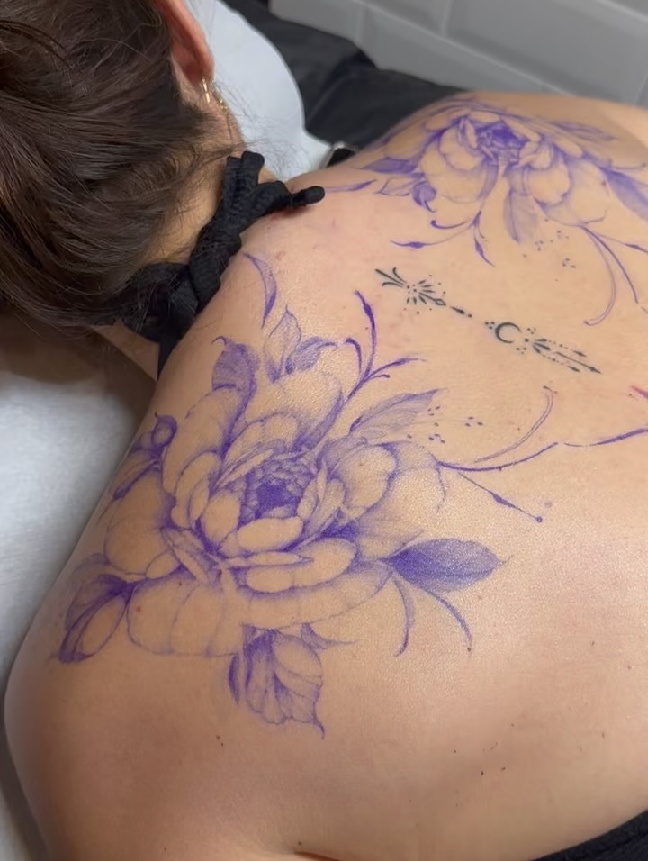Flower, Nature, Rose