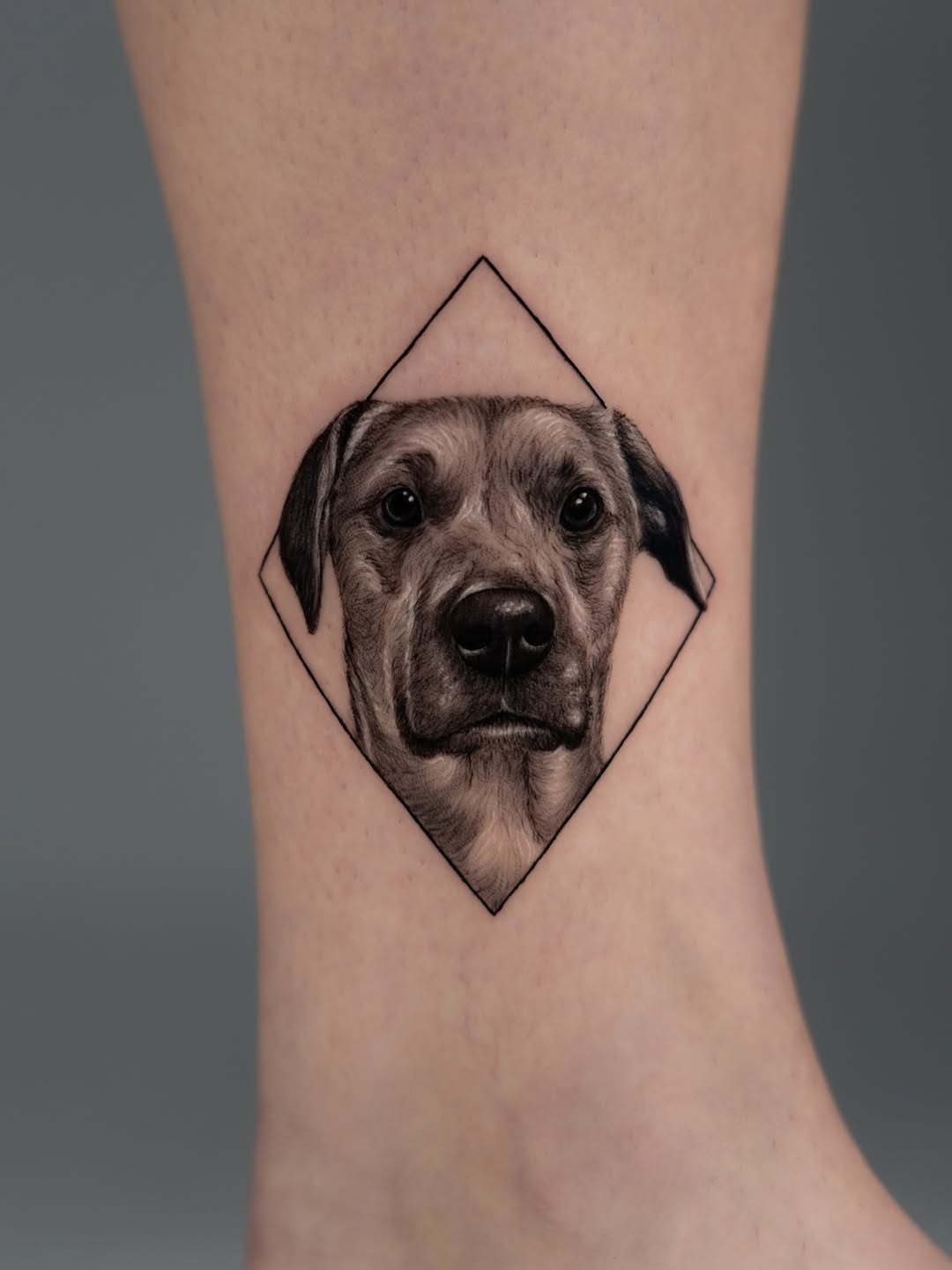lewis.tattoo