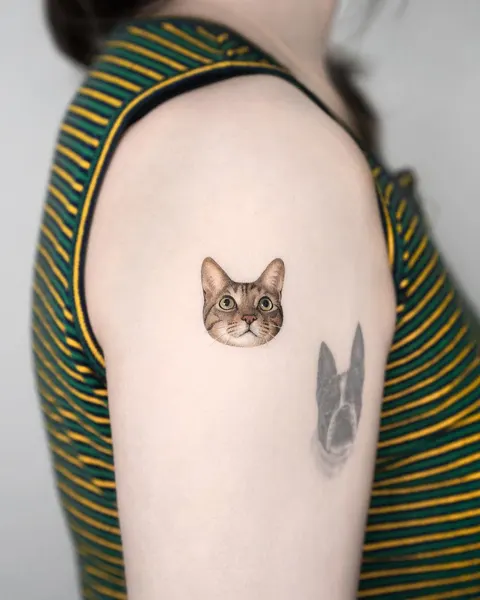 고양이