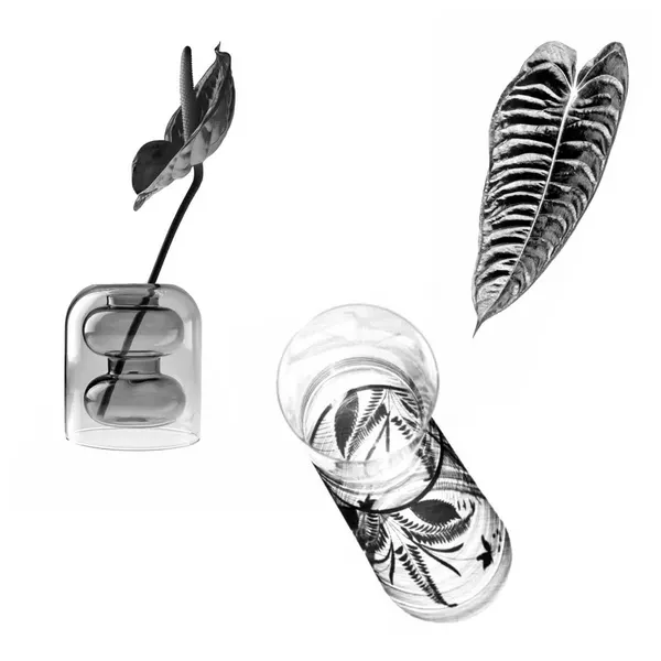 plantsnpokes