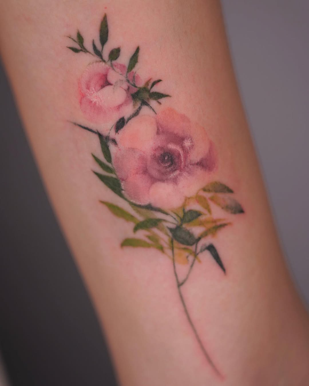 Flower, Rose