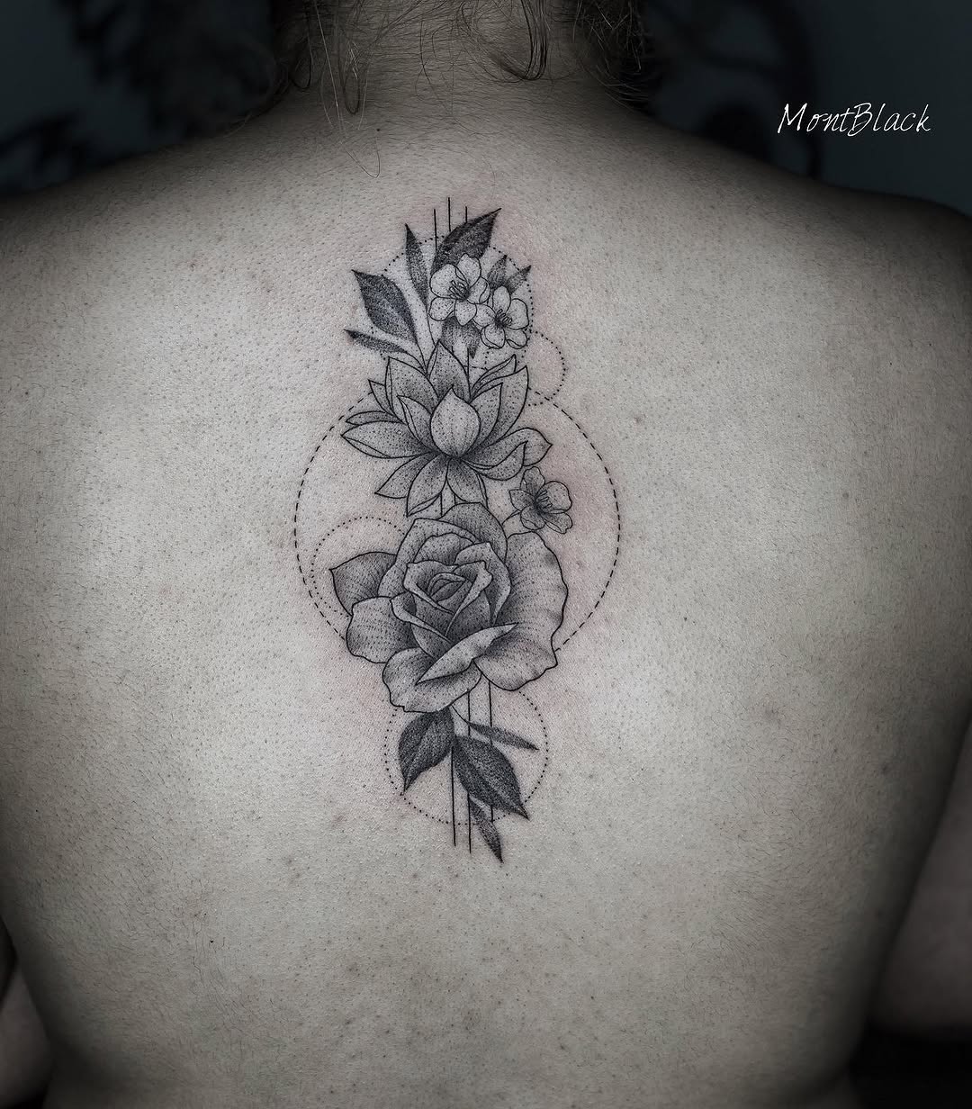 Flower, Nature, Rose
