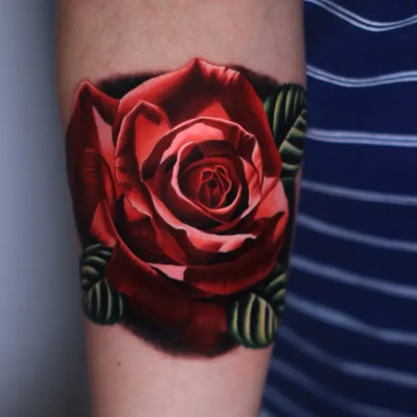 Flower, Rose