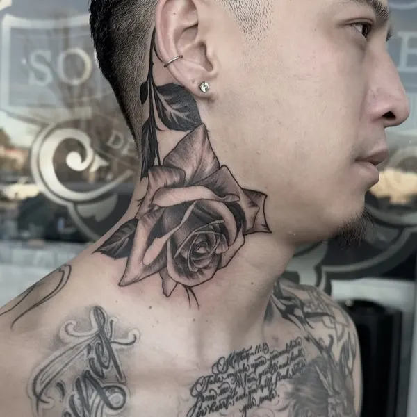 Flower, Rose