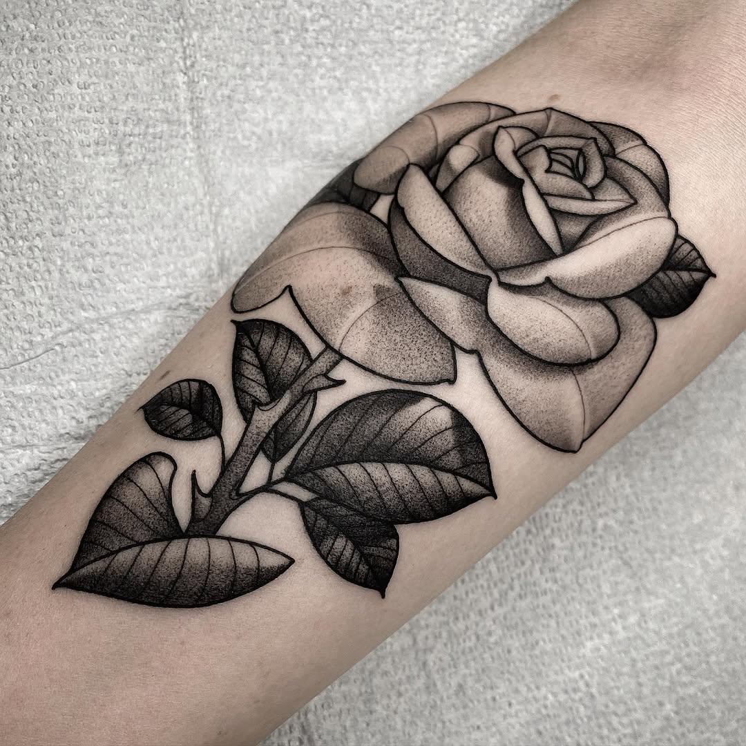 Flower, Rose, Nature