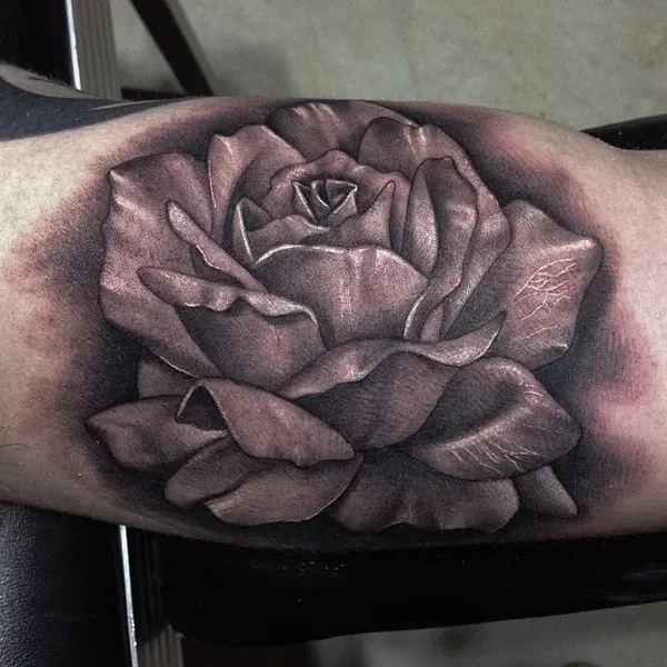 Flower, Rose