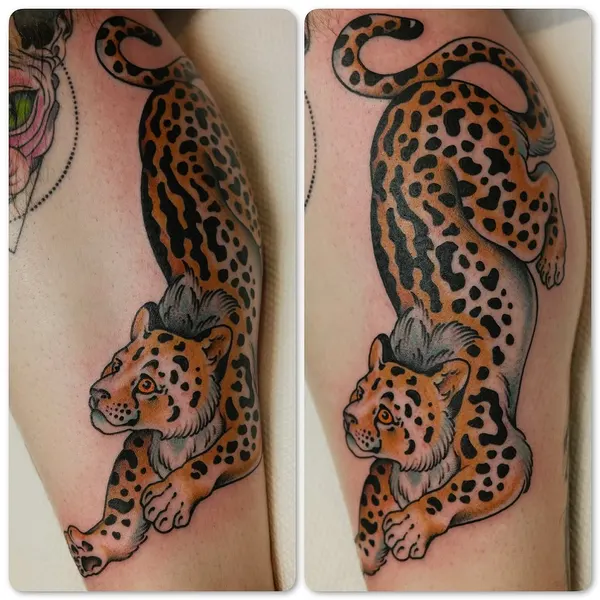 Tiger, Animal