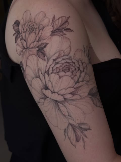 Flower, Rose, Nature