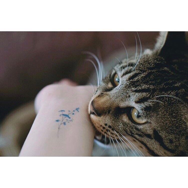 soltattoo