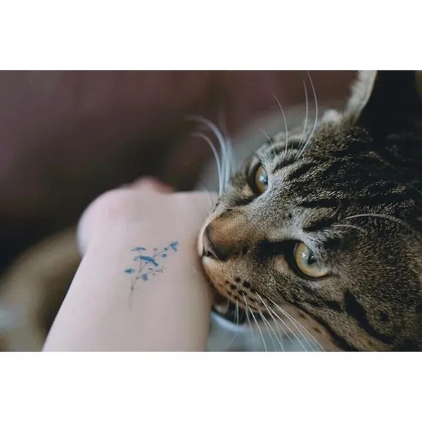 soltattoo
