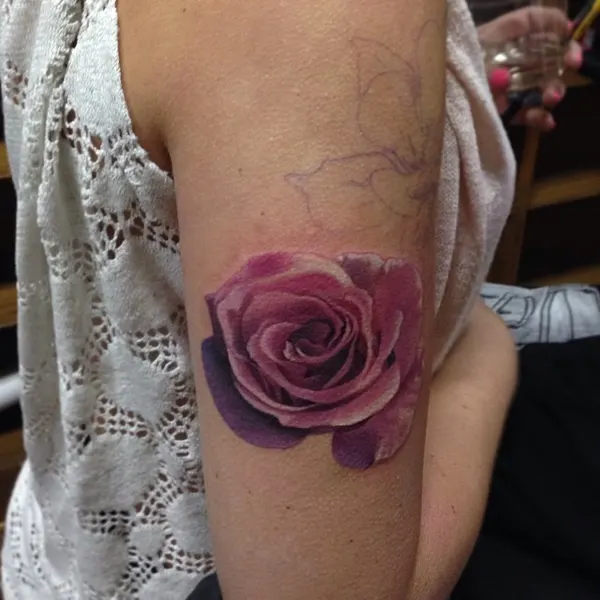Flower, Rose, Nature