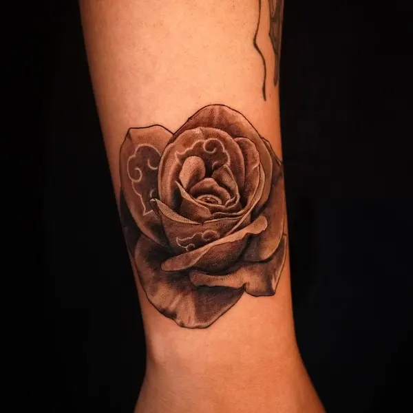 Flower, Rose