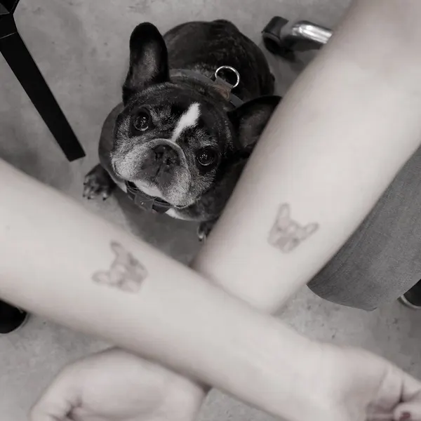 mr.k_tattoo