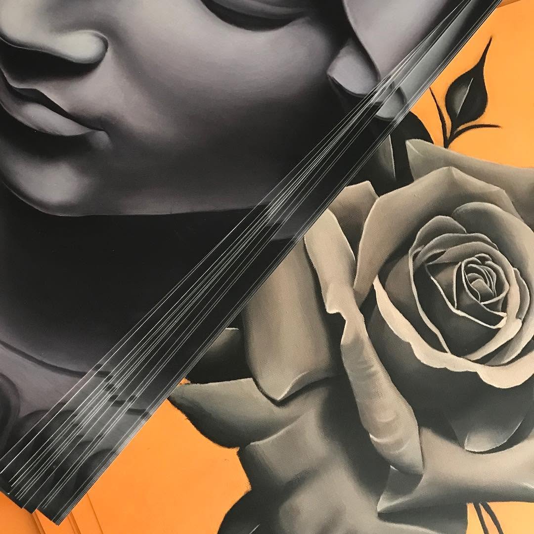 Flower, Rose