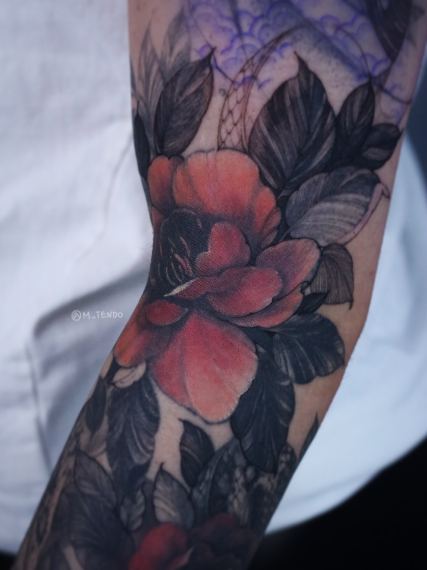 Flower, Rose