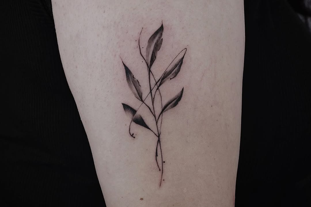Rose, Nature, Flower