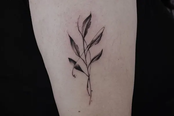 Rose, Nature, Flower