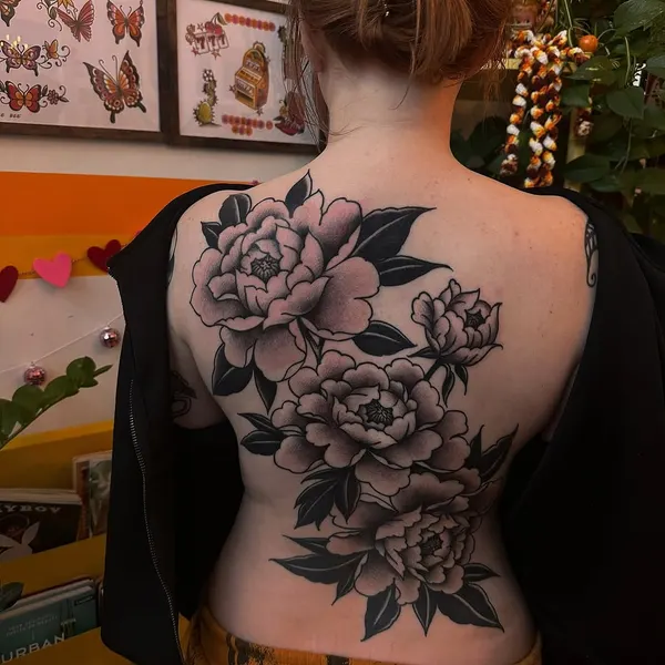 Flower, Nature, Rose