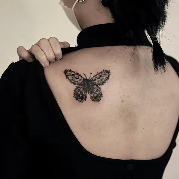 Animal, Nature, 나방, 나비
