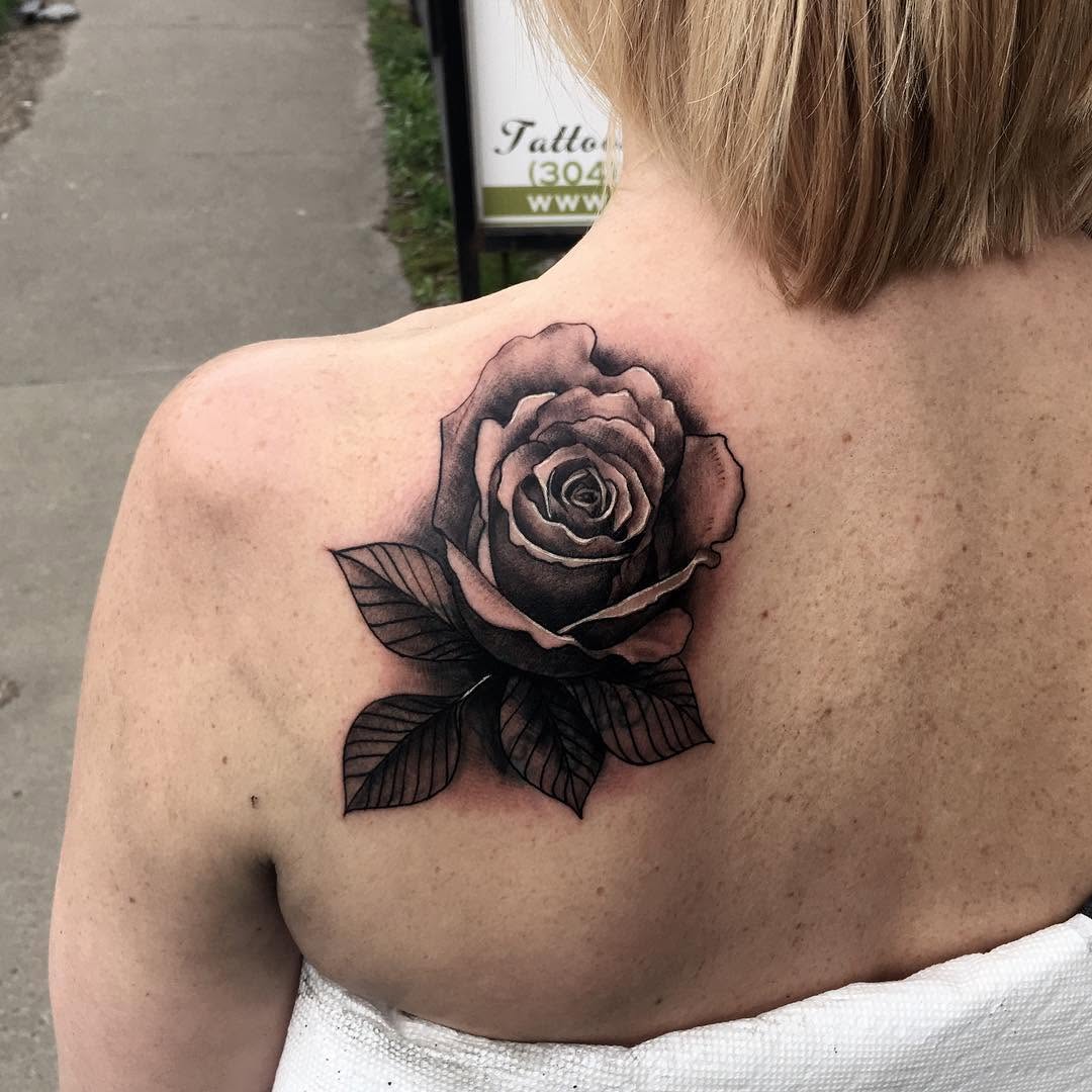 Flower, Rose, Nature