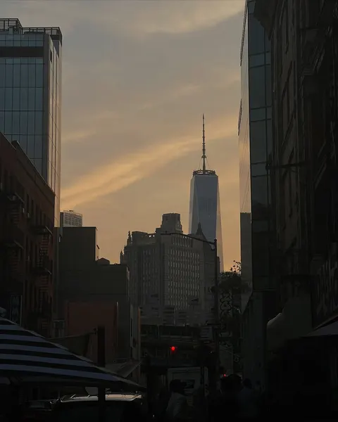 참새, 제비