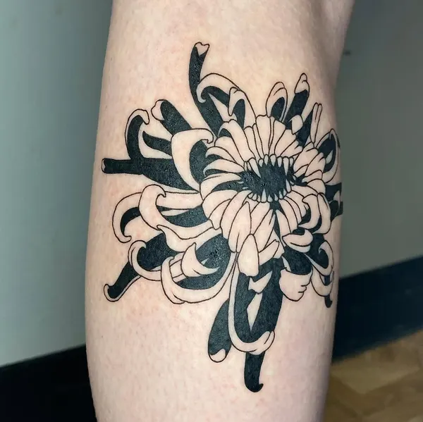 plantsnpokes