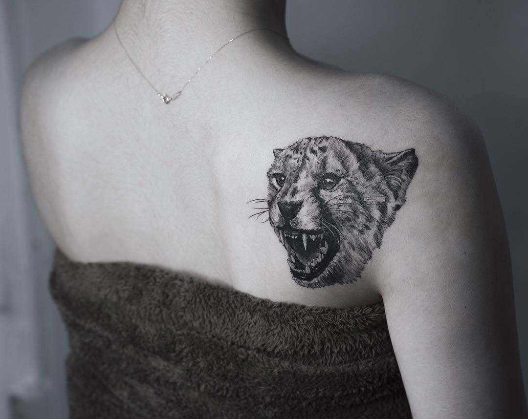Tiger, Animal