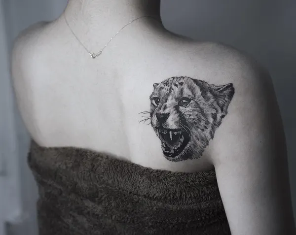 Tiger, Animal