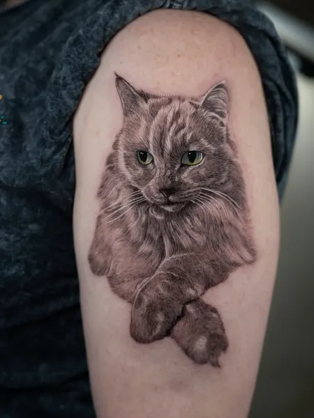 Animal