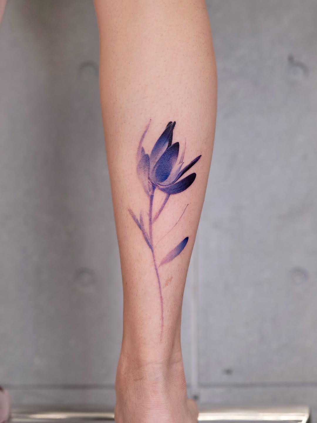 Rose, Flower