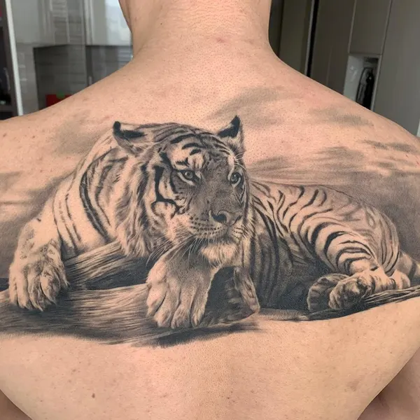 Tiger