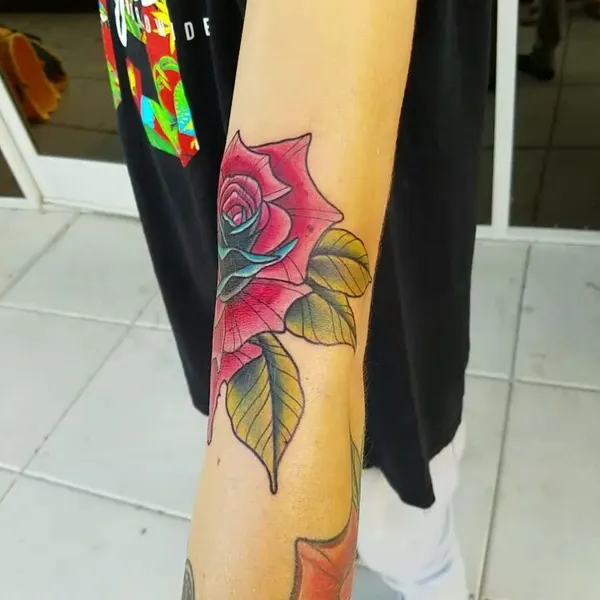 Flower, Rose