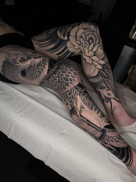 Dragon, Animal