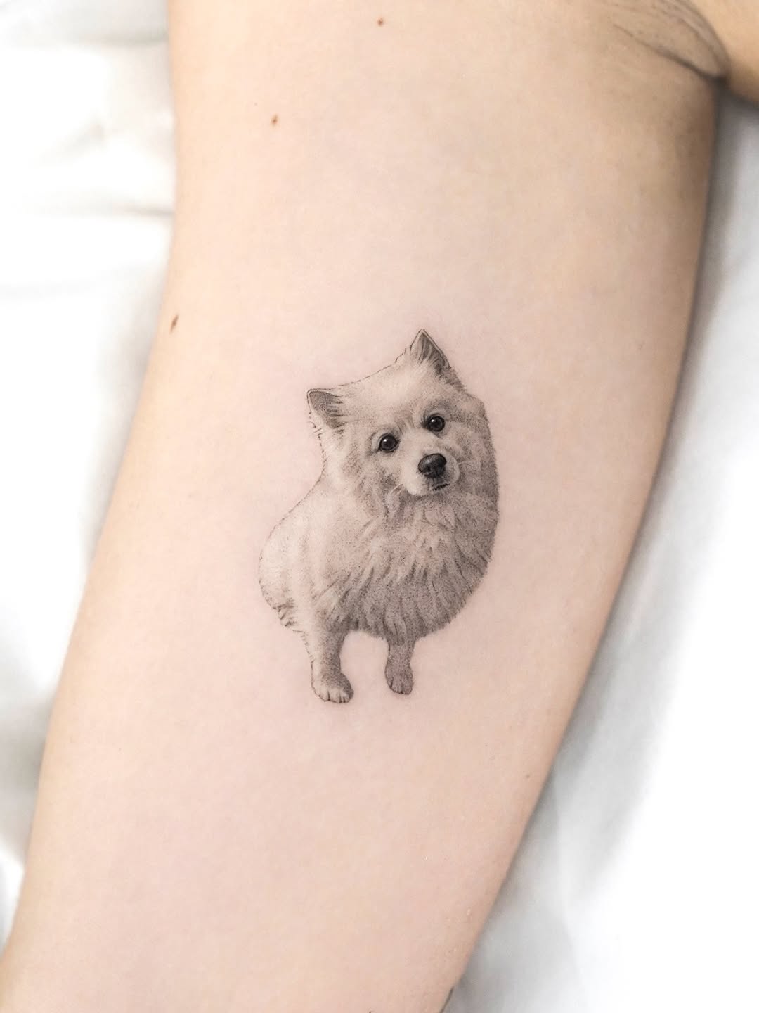 dorok.tattoo