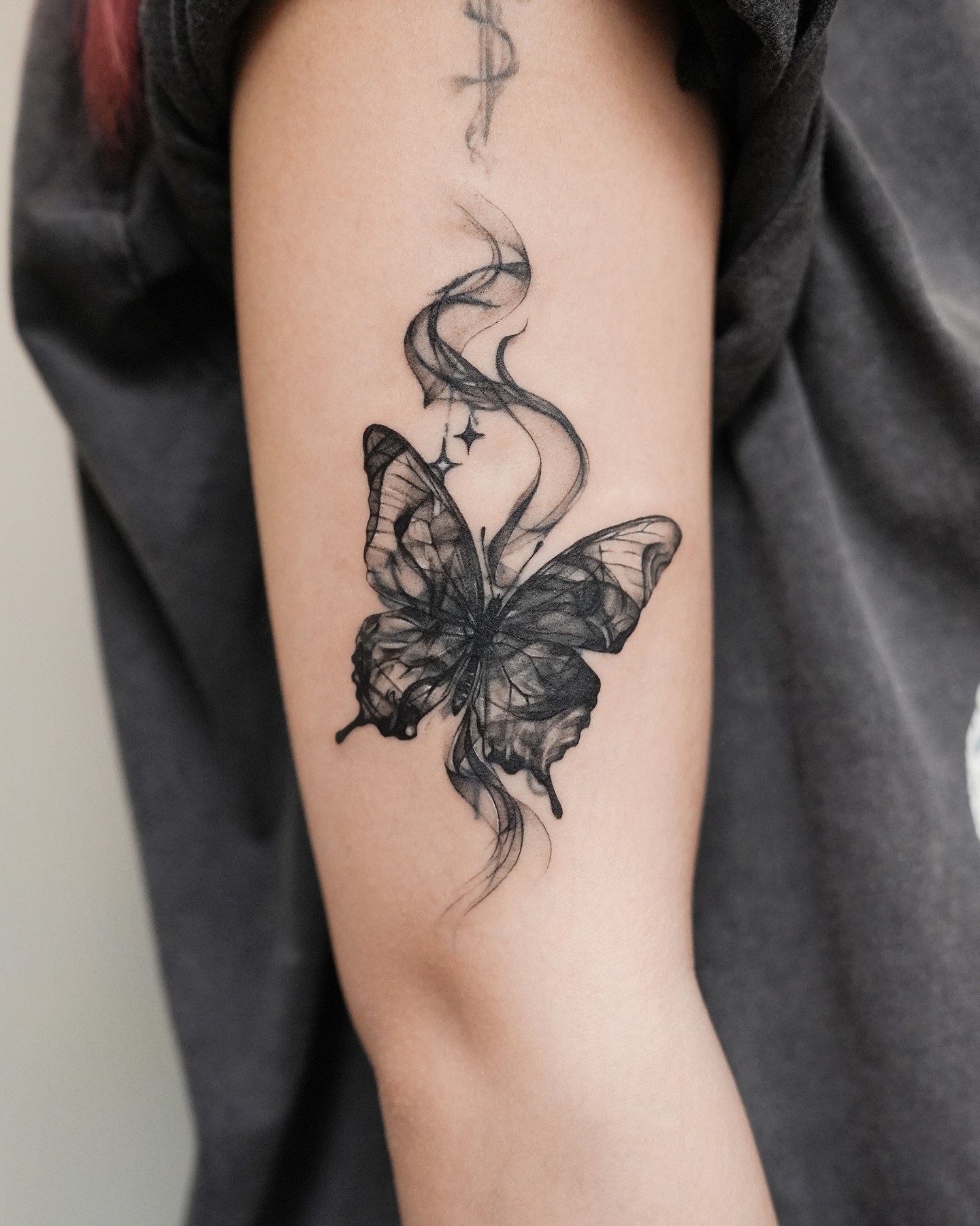 Animal, Nature